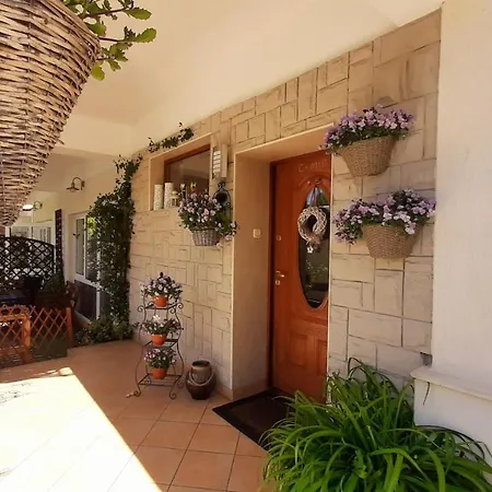 Pasat Władysławowo